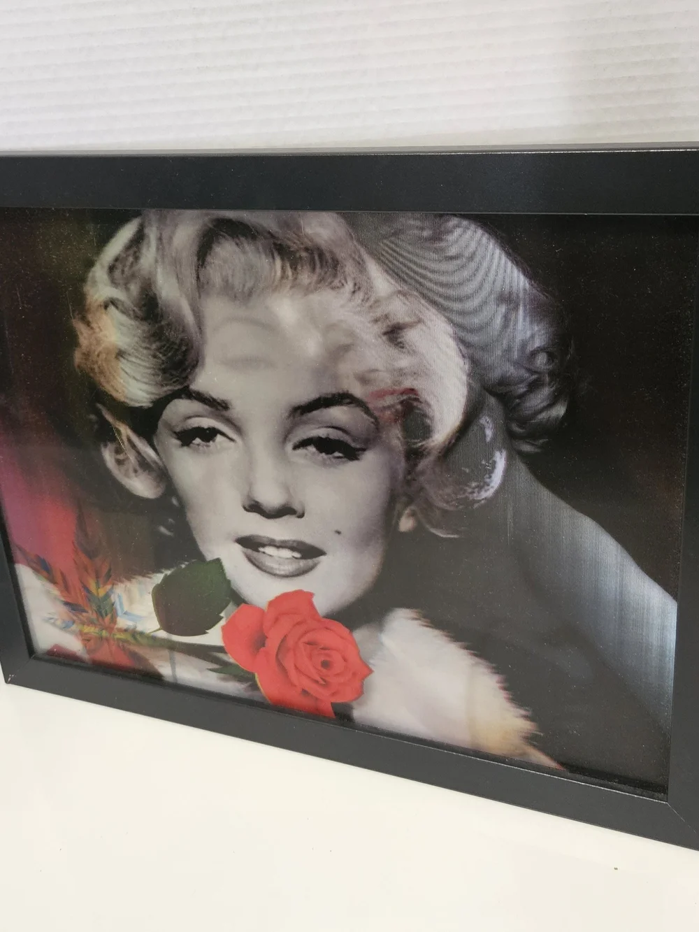 Framed Pop Art Portrait with Rasta Stripe and Leaf Accent